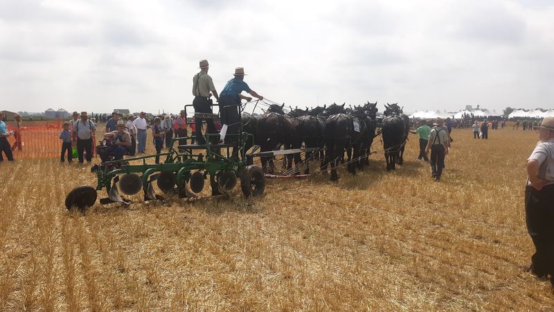 Arthur, Illinois and Its Amish Roots Arthur, Illinois and Its Amish Roots