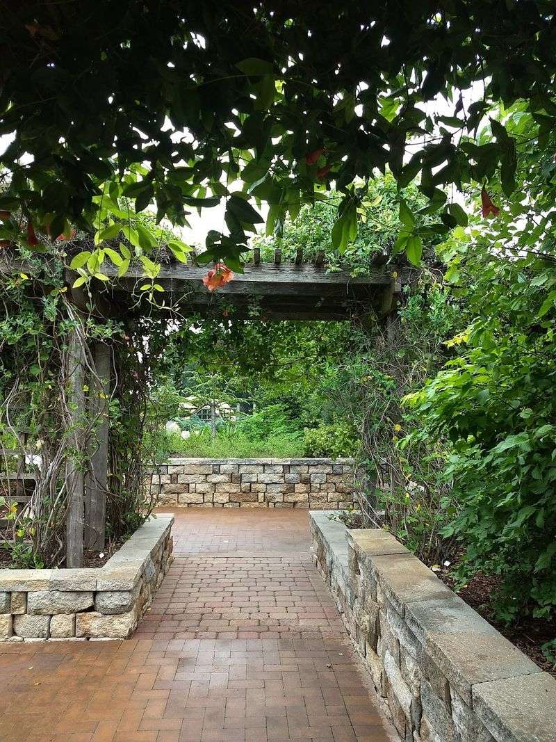 Atmosphere and the Quiet Appeal for All Kinds of Visitors Atmosphere and the Quiet Appeal for All Kinds of Visitors