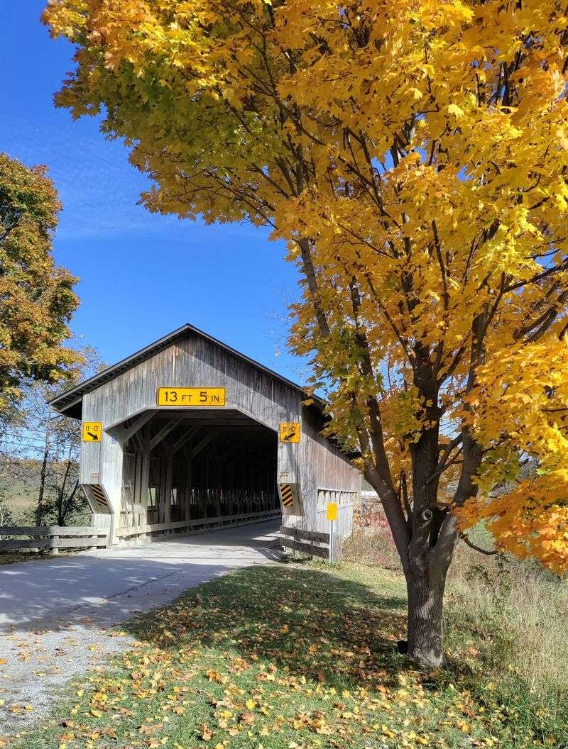 Autumn at the Bridge - A Season Made for This Place
