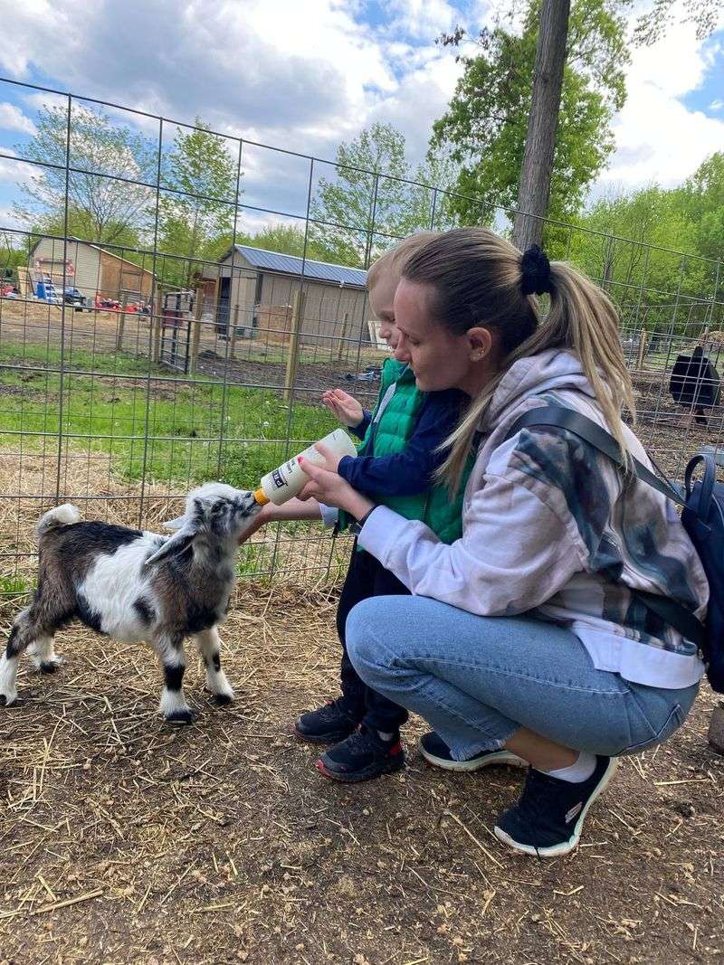 Baby Goats and Bookable Extras Baby Goats and Bookable Extras