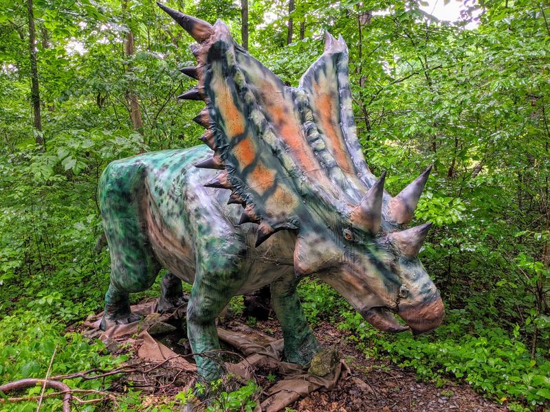 Backyard Terrors and Dinosaur Park, Bluff City, TN Backyard Terrors and Dinosaur Park, Bluff City, TN