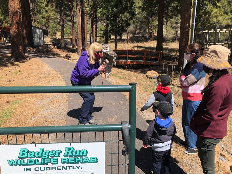 Badger Run Wildlife Rehab, Klamath Falls, OR Badger Run Wildlife Rehab, Klamath Falls, OR