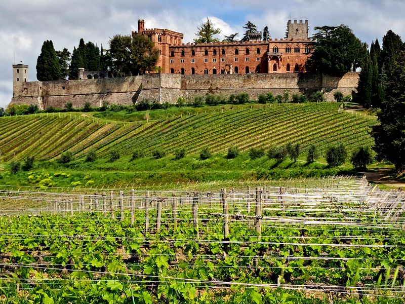 Barone Ricasoli, Castello di Brolio, Tuscany, Italy