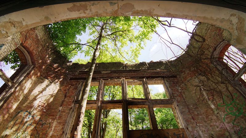 Baum & Zeit Treetop Walk, Beelitz-Heilstätten Baum & Zeit Treetop Walk, Beelitz-Heilstätten