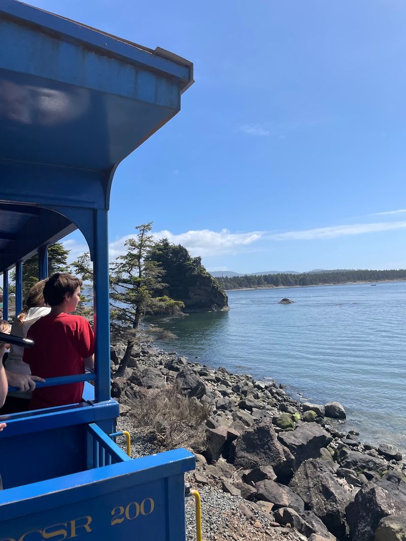 Bay Glimpses, Beach Houses, And Coastal Forest