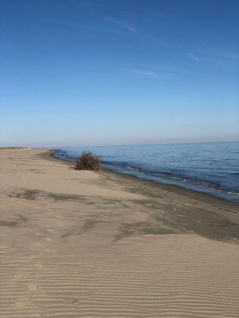 Beach Plum Island Nature Preserve, Lewes, Delaware