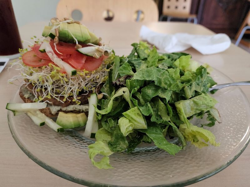 Beauty of Sprouts, Sarasota, FL Beauty of Sprouts, Sarasota, FL