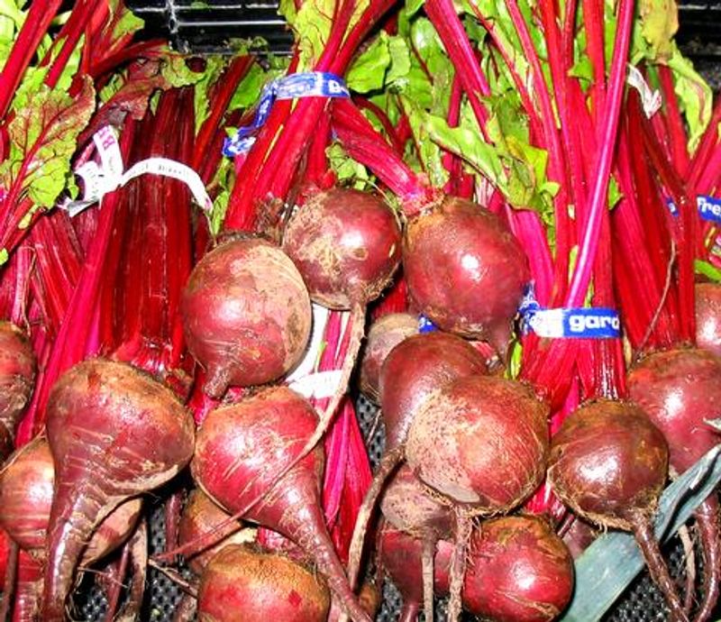 Beets Beets
