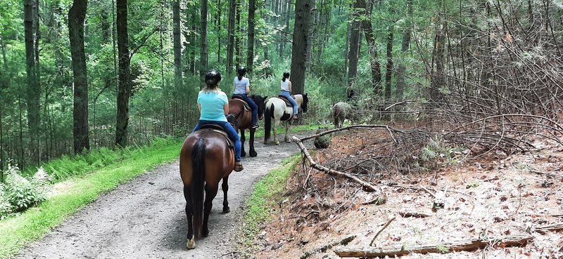 Beginners, Families, and Returning Riders