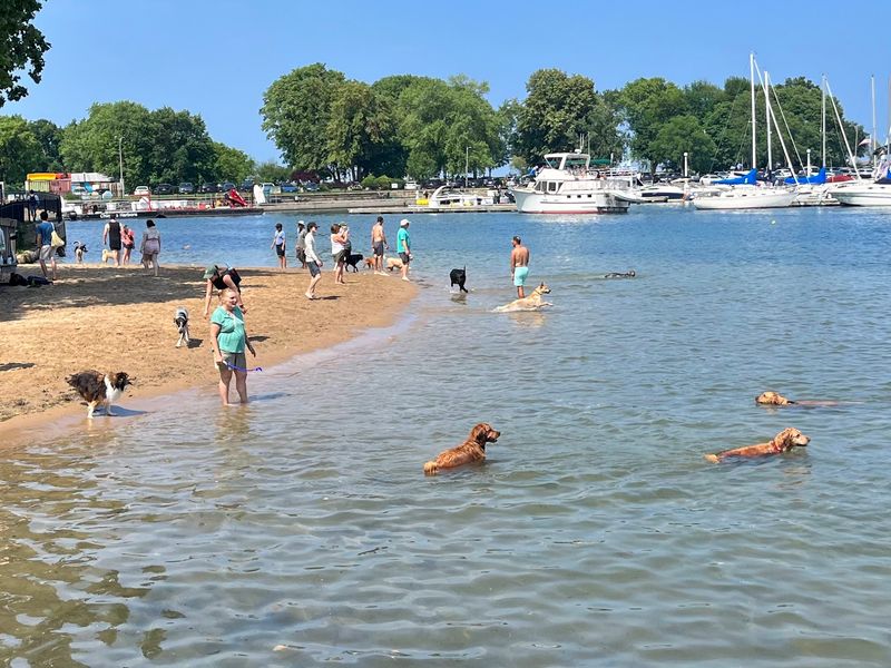 Belmont Harbor Dog Beach, Chicago, IL Belmont Harbor Dog Beach, Chicago, IL