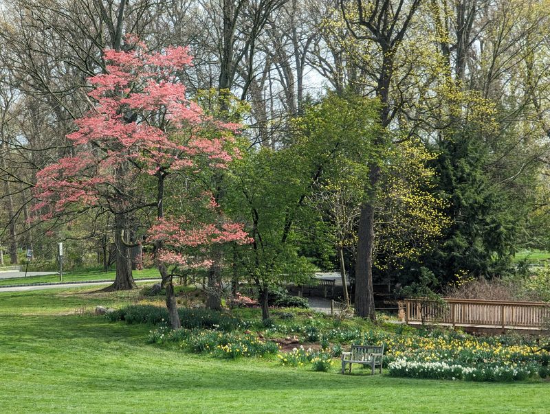 Benches, Lawns, And Picnic-Friendly Corners