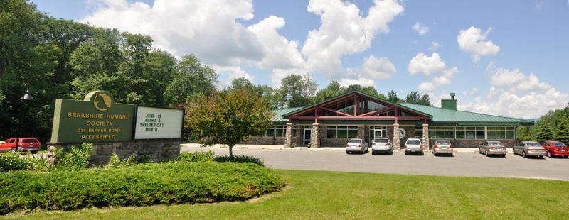 Berkshire Humane Society, Pittsfield, MA Berkshire Humane Society, Pittsfield, MA