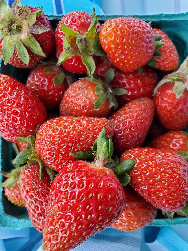 Berries That Sell Out Before You Can Blink