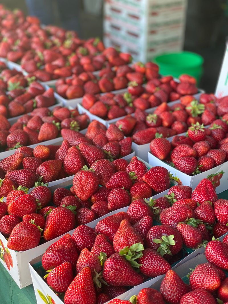 Berries That Taste Like They Should Berries That Taste Like They Should