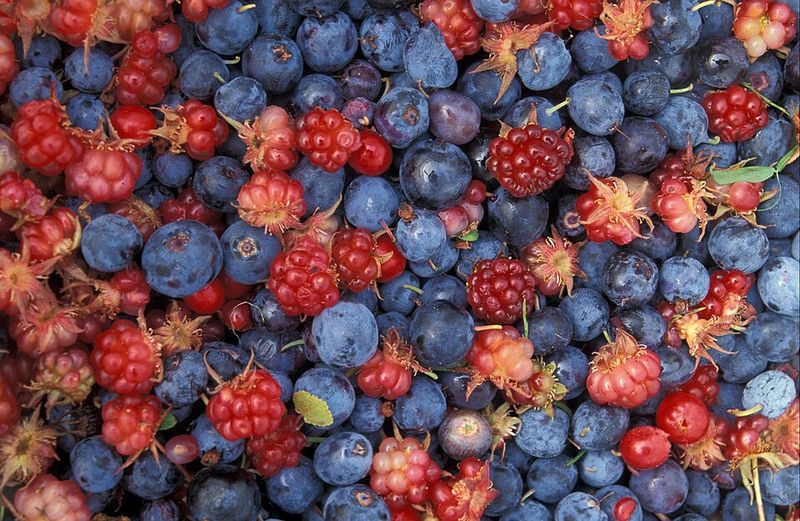 Berries Berries