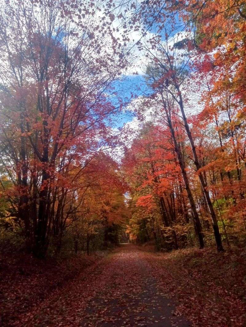 Best Times to Ride and What Each Season Offers Best Times to Ride and What Each Season Offers