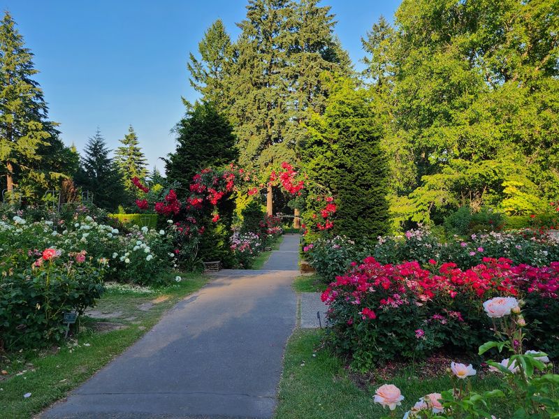 Best Times to Visit and Beating the Crowds
