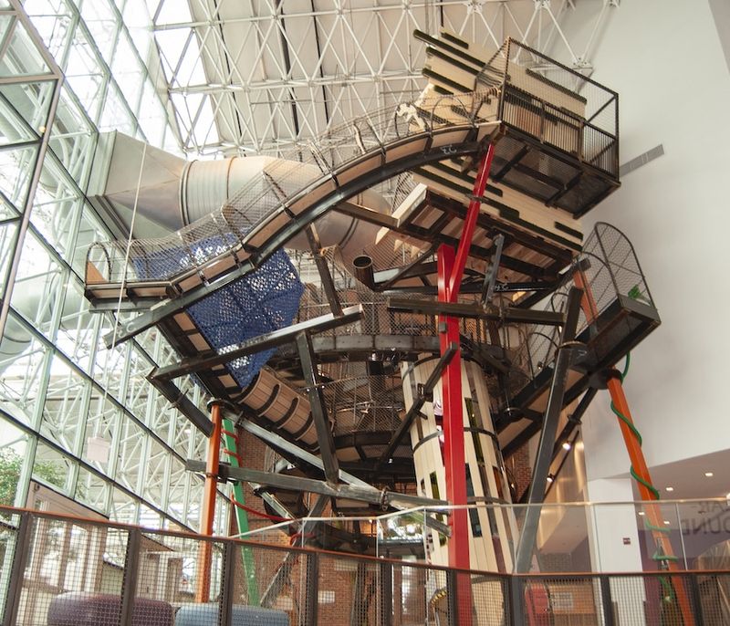 Beyond Dinosaurs: The Museum's Other Interactive Exhibits