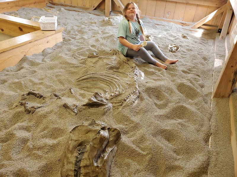 Beyond the Bones: A Day of Discovery and Delight