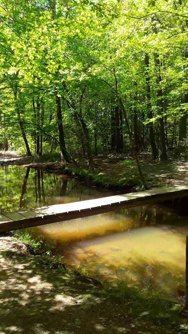 Beyond the Main Loop: Biking Trails and Hidden Creek Paths Beyond the Main Loop: Biking Trails and Hidden Creek Paths