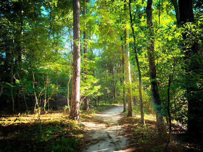 Bicycle Trail, Felton, Delaware