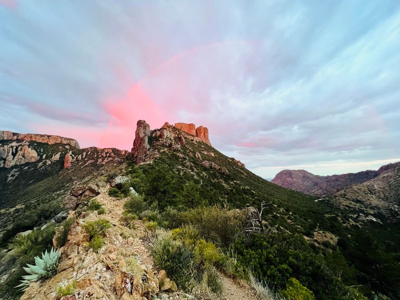 Big Bend National Park, Terlingua, Texas