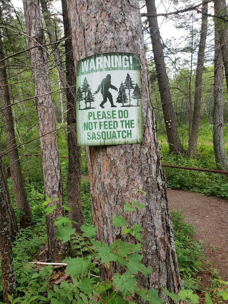 Bigfoot, Paranormal Claims, and the Wilder Side of the Legend Bigfoot, Paranormal Claims, and the Wilder Side of the Legend