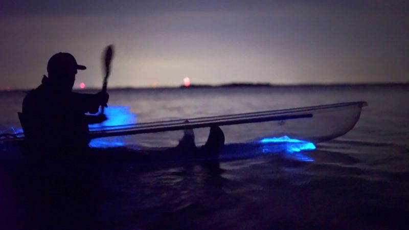 Bioluminescent Kayaking Cocoa Beach, Merritt Island, FL Bioluminescent Kayaking Cocoa Beach, Merritt Island, FL