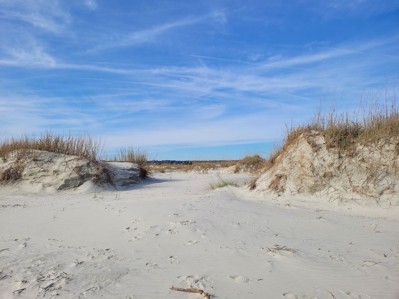 Bird Island Reserve, Sunset Beach, NC