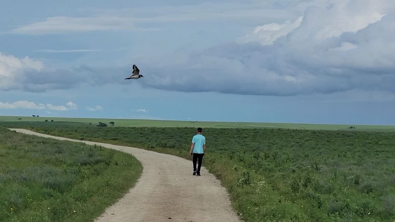 Bird Sounds That Will Surprise a First-Time Visitor Bird Sounds That Will Surprise a First-Time Visitor