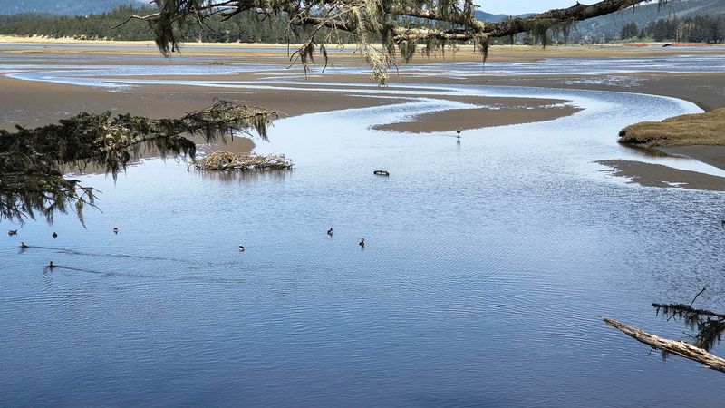 Birders Call It a Small Paradise Birders Call It a Small Paradise