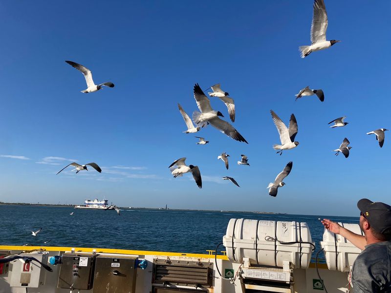 Birds, Bay Views, and a Concrete Shipwreck Birds, Bay Views, and a Concrete Shipwreck