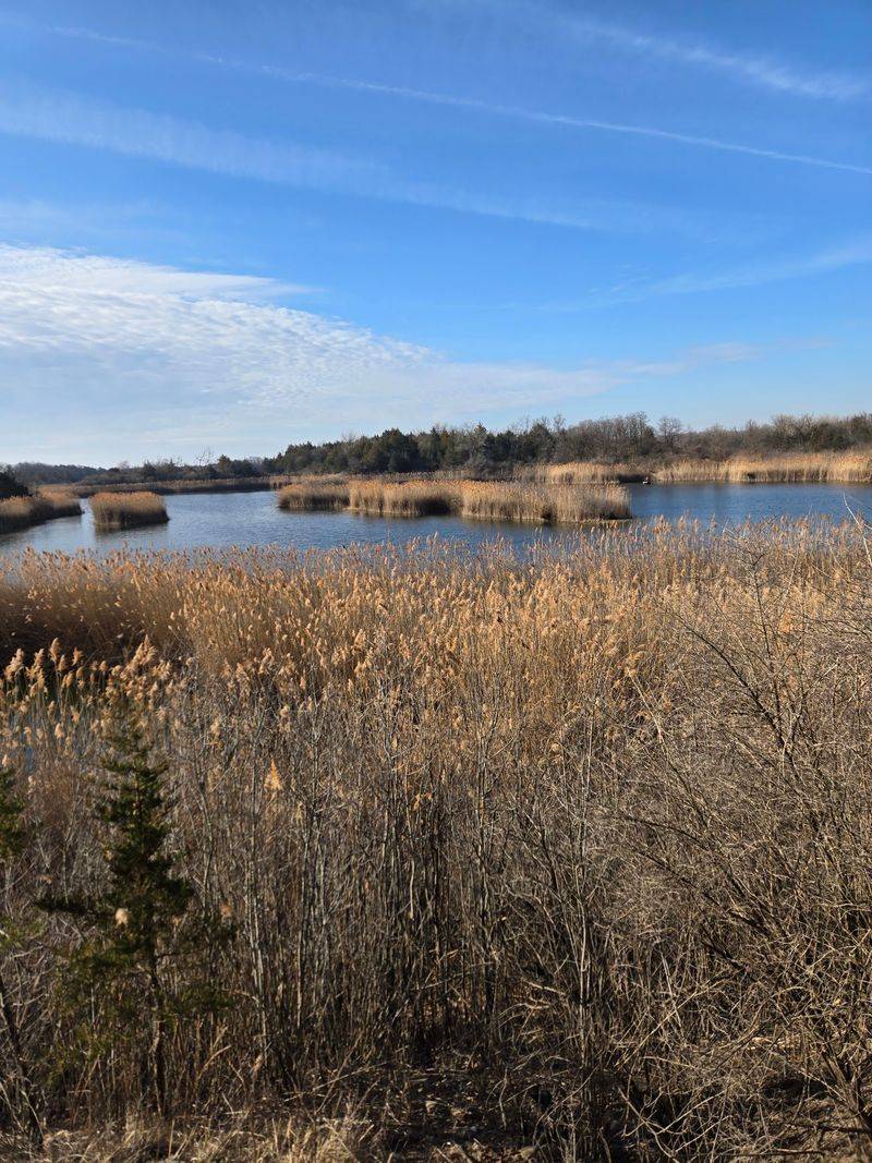 Birdwatching and the Wildlife That Lives Here Birdwatching and the Wildlife That Lives Here