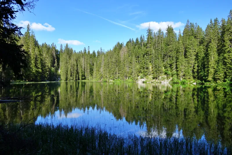 Black Lake, Montenegro Black Lake, Montenegro