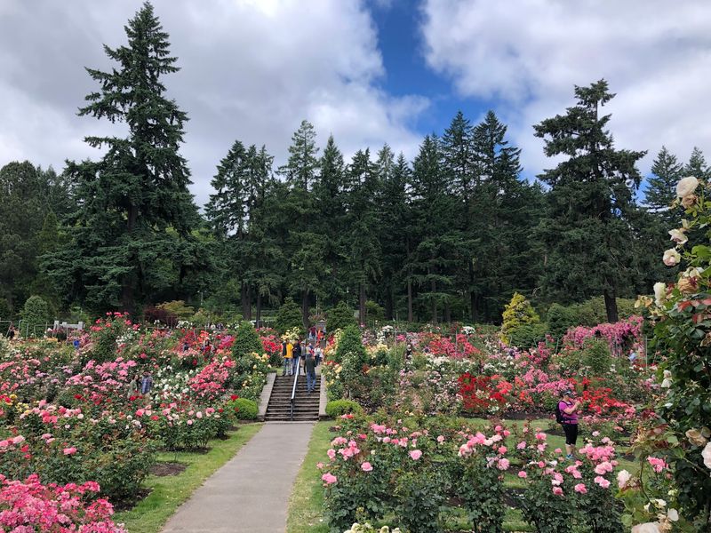 Blooming Continuously Since 1917
