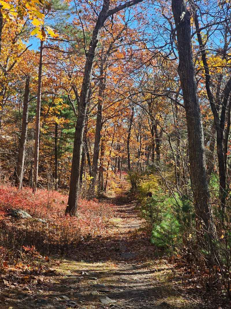 Blue Hills Reservation, Milton, MA