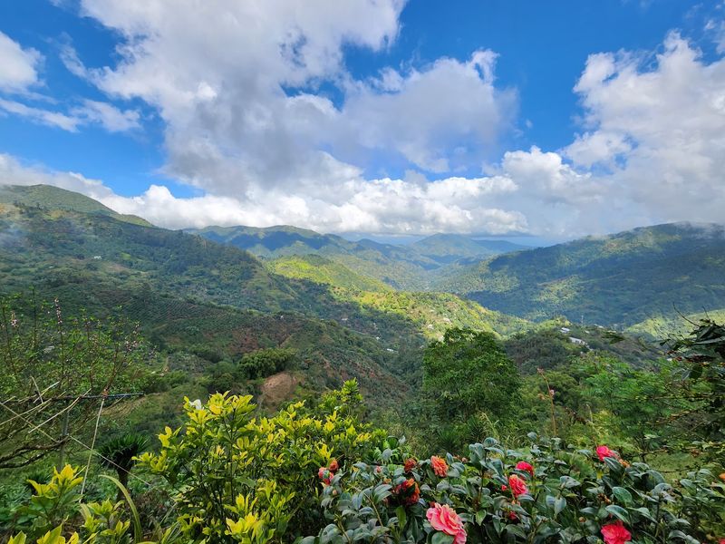 Blue and John Crow Mountains National Park, Jamaica Blue and John Crow Mountains National Park, Jamaica