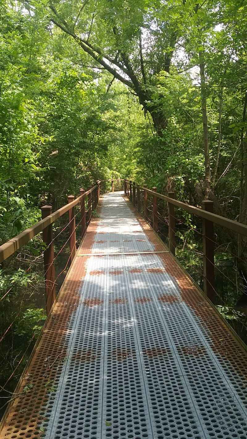 Boardwalk Trail at Big Oak Tree State Park, East Prairie, Missouri Boardwalk Trail at Big Oak Tree State Park, East Prairie, Missouri