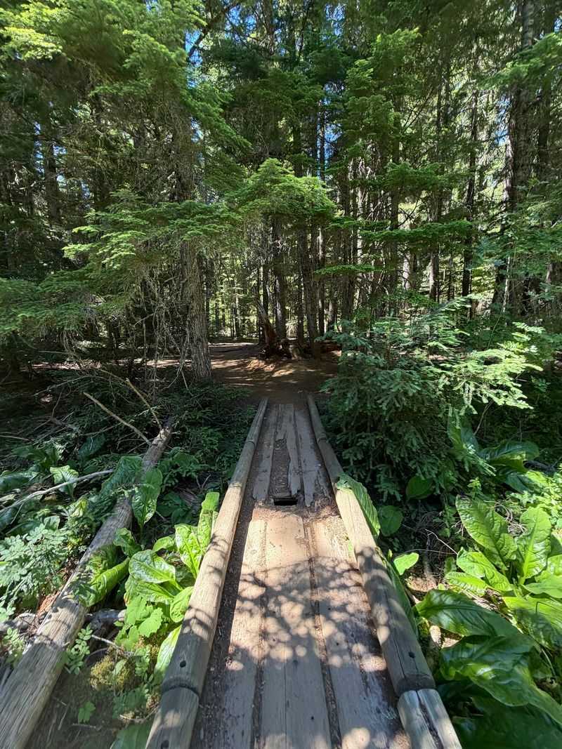 Boardwalks And The Path Toward The Pacific Crest Trail