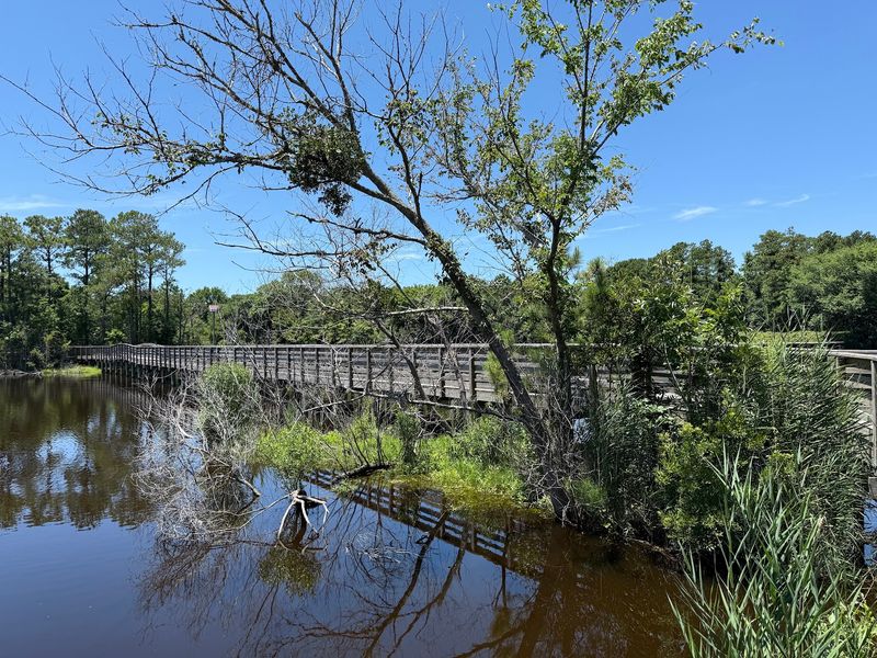 Boardwalks Floating Over the Salt Marsh