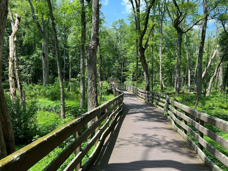 Bob Trail, Laurel, Delaware