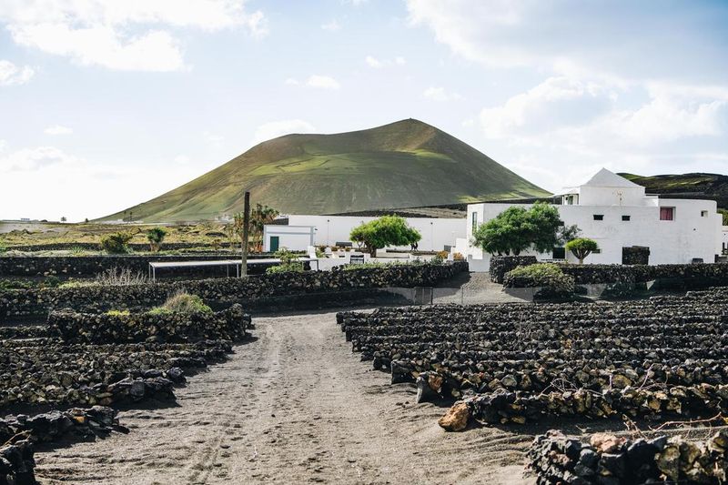 Bodegas El Grifo, Lanzarote, Spain
