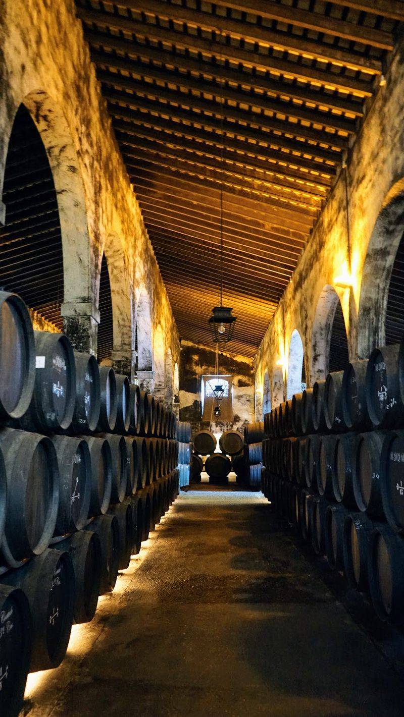 Bodegas Osborne, El Puerto de Santa Maria, Spain