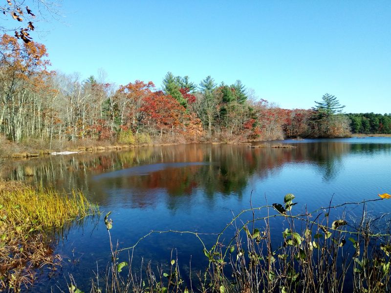 Borderland State Park, North Easton, MA Borderland State Park, North Easton, MA