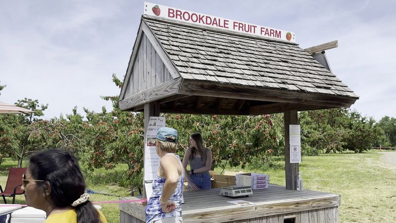 Brookdale Fruit Farm, Hollis, New Hampshire Brookdale Fruit Farm, Hollis, New Hampshire