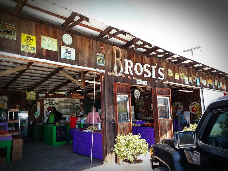 Brosi's Sugartree Farms, Winston, OR