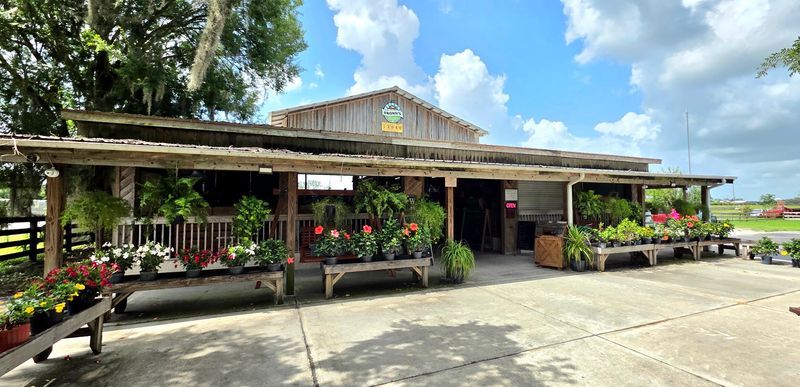 Brown & Brown Farms and Country Store, Oxford, FL