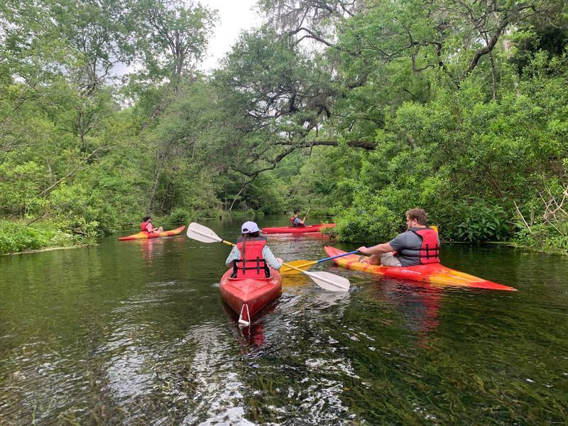Budget-Friendly Fun Near the Springs Budget-Friendly Fun Near the Springs