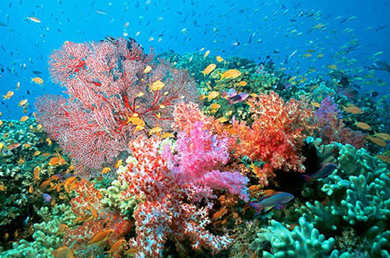 Bunaken Bunaken