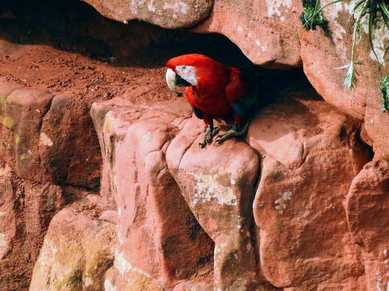Buraco das Araras, Jardim, Mato Grosso do Sul, Brazil